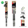 LEKKIE KIJKI KIJE NORDIC WALKING FIZAN BEIGE BEŻOWE REGULOWANE DO CHODZENIA